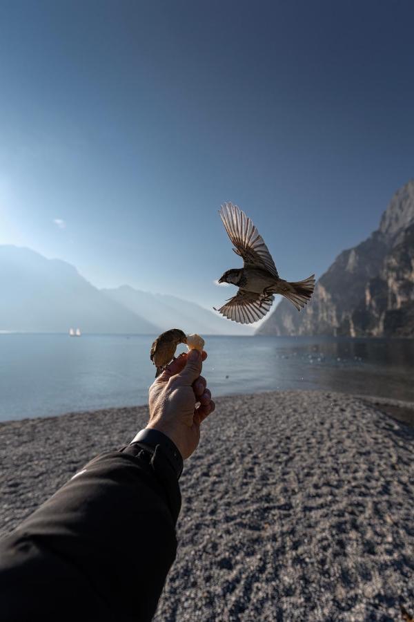Le Calle Holiday Apartments Torbole Sul Garda Exterior photo